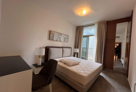 SPECTACULAR 1 BR APARTMENT IN CITY CENTER