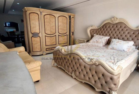 fully furnished studio for 6000 QAR - Studio Apartments in East Porto Drive
