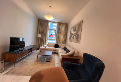 SPECTACULAR 1 BR APARTMENT IN CITY CENTER