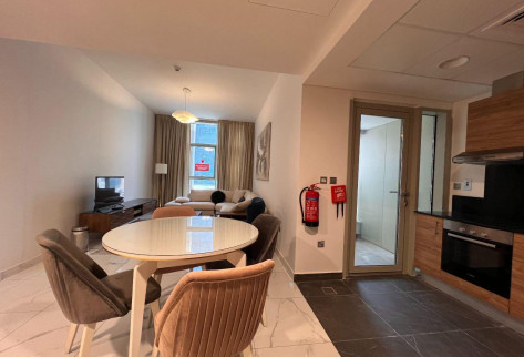 SPECTACULAR 1 BR APARTMENT IN CITY CENTER