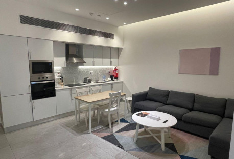 Luxurious Apartment with Balcony for Rent
